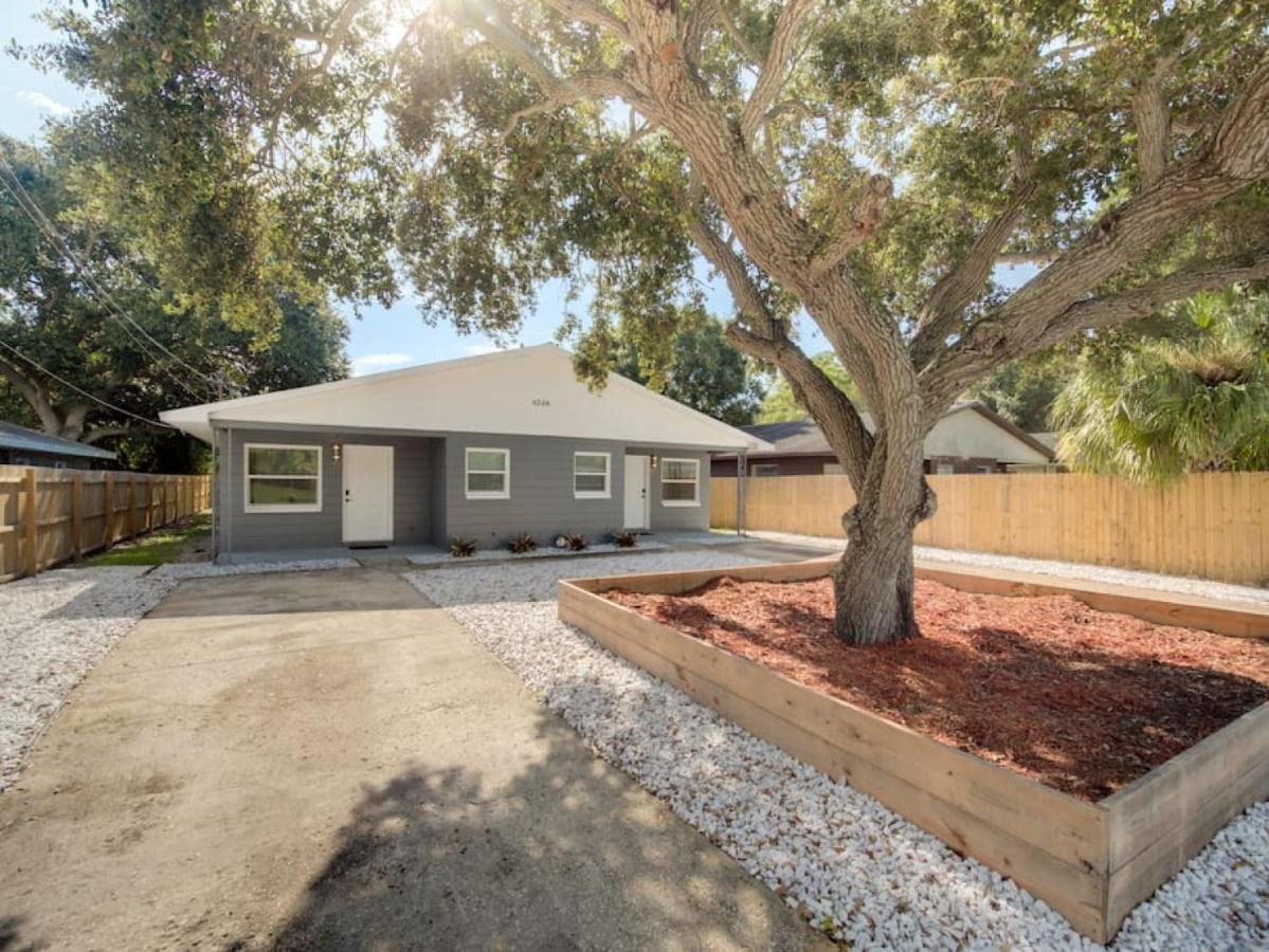 טאמפה Bayshore Home מראה חיצוני תמונה